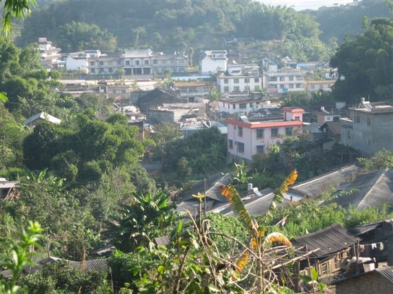云南普洱茶的风风雨雨