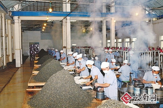 第一批云南普洱茶上市价格微涨