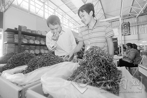 云南普洱茶首亮“电子身份证”