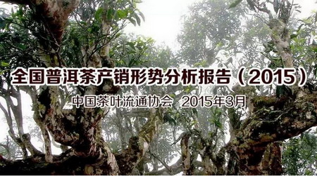 2015中国云南普洱茶产销形势（中国茶叶流通协会）分析报告