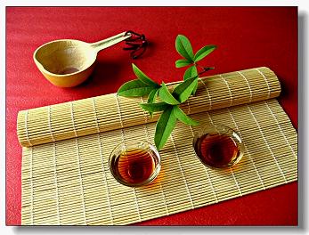 怎样喝云南普洱茶才能有减肥、美容、抗癌之功效