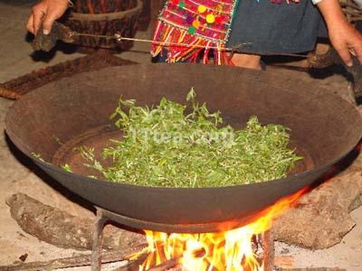 传统云南普洱茶工艺流程