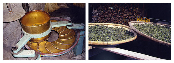 现代云南普洱茶生茶生产制作的工艺流程