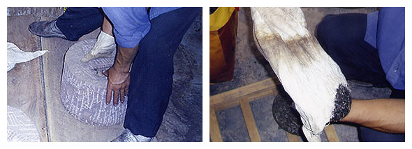 现代云南普洱茶生茶生产制作的工艺流程