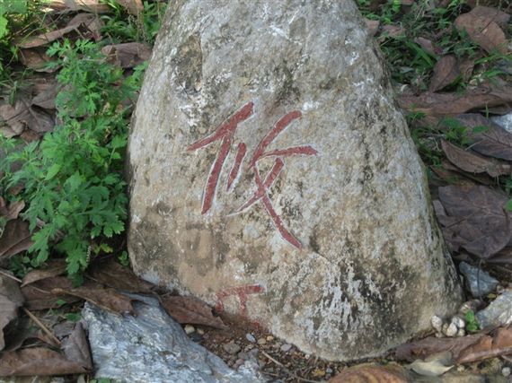 茶马古道兴衰随想