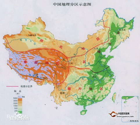 北方云南普洱茶市场到底怎么样？