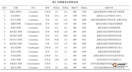 不要认为所有的普洱茶都是云南普洱茶