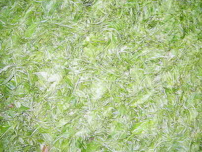 云南滇红茶的介绍