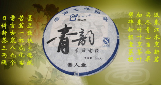 锋骨迎春——青韵