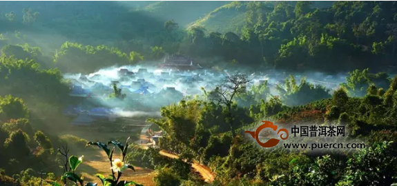 2017年云南普洱茶春茶的价格趋势