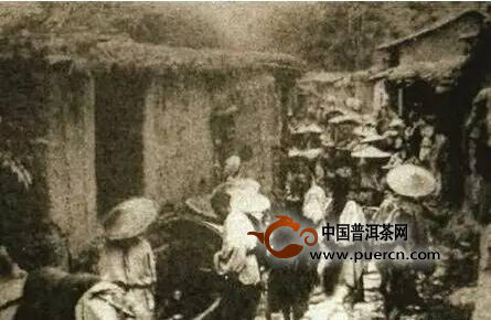 看懂所有爱茶人魂牵梦绕的易武