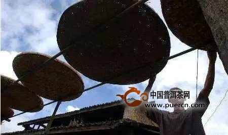 看懂所有爱茶人魂牵梦绕的易武