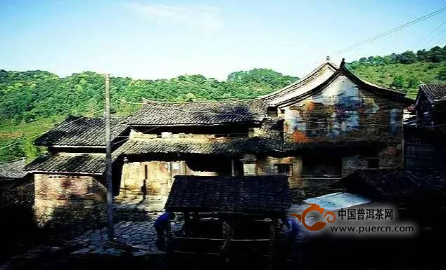 看懂所有爱茶人魂牵梦绕的易武