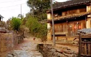 看懂所有爱茶人魂牵梦绕的易武