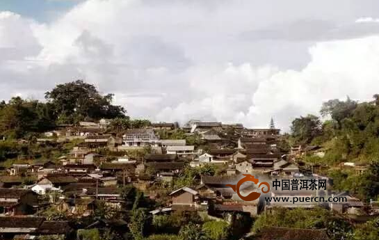 看懂所有爱茶人魂牵梦绕的易武