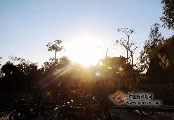 看懂所有爱茶人魂牵梦绕的易武