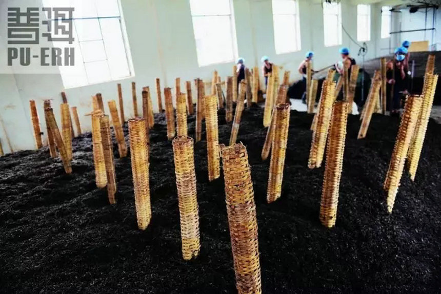 渥堆发酵，美丽嬗变——熟茶的生产与品味