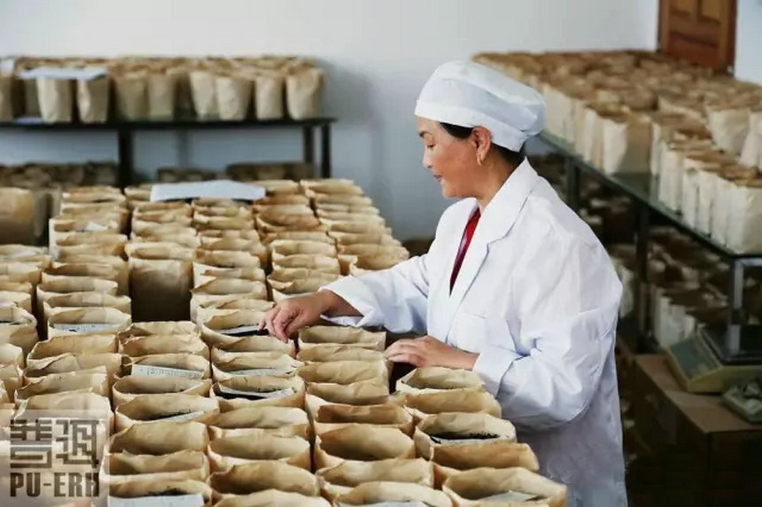 渥堆发酵，美丽嬗变——熟茶的生产与品味