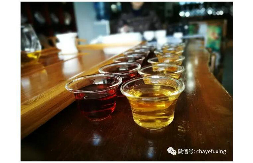 如何一句话概括熟茶发酵?