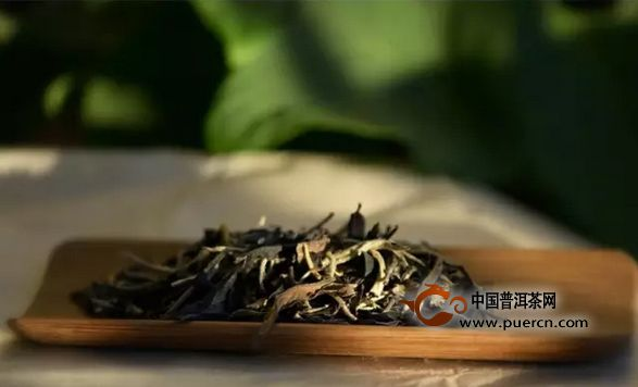 两会“代表委员”说茶界热点,产能过剩怎么办?