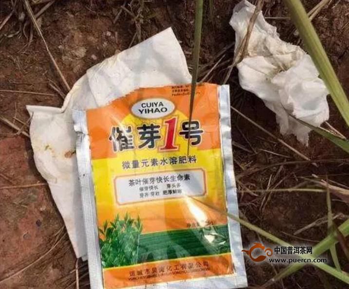 云南普洱茶古树茶好喝与树龄没有直接关系