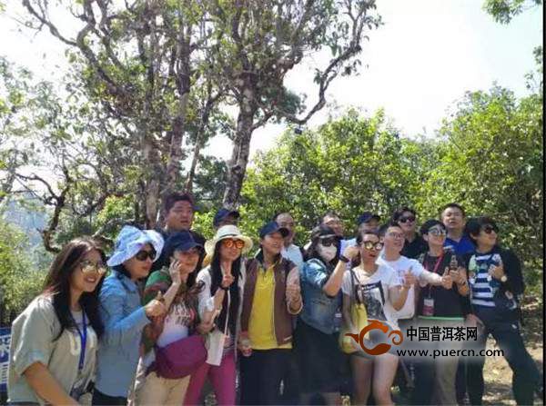 老班章村要收门票搞旅游？老班章茶未来路在何方？