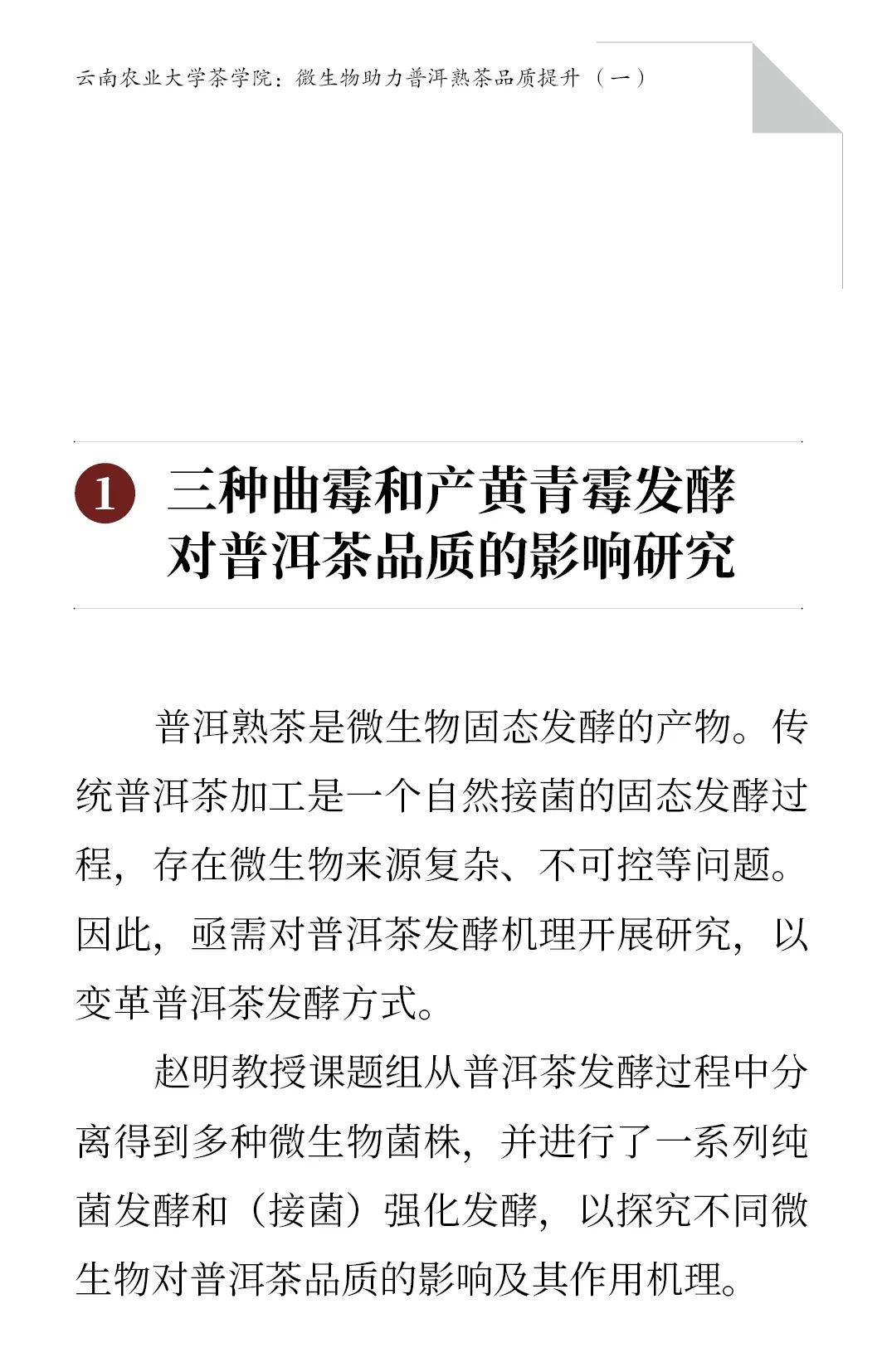 微生物助力普洱熟茶品质提升