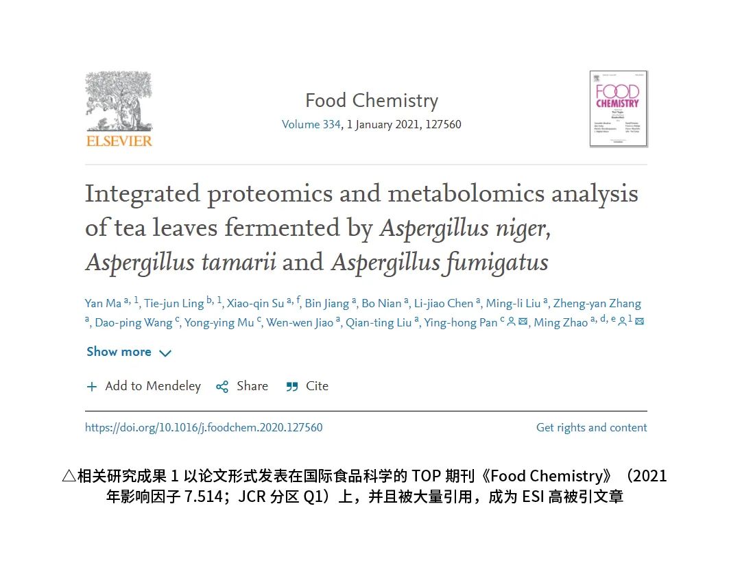 微生物助力普洱熟茶品质提升