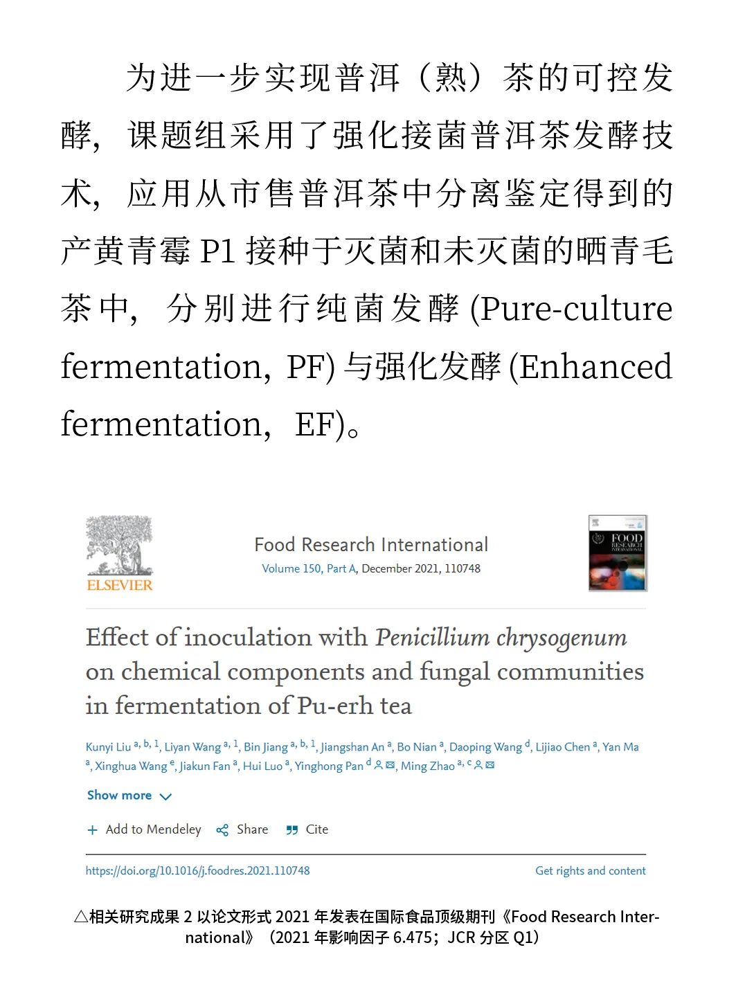 微生物助力普洱熟茶品质提升