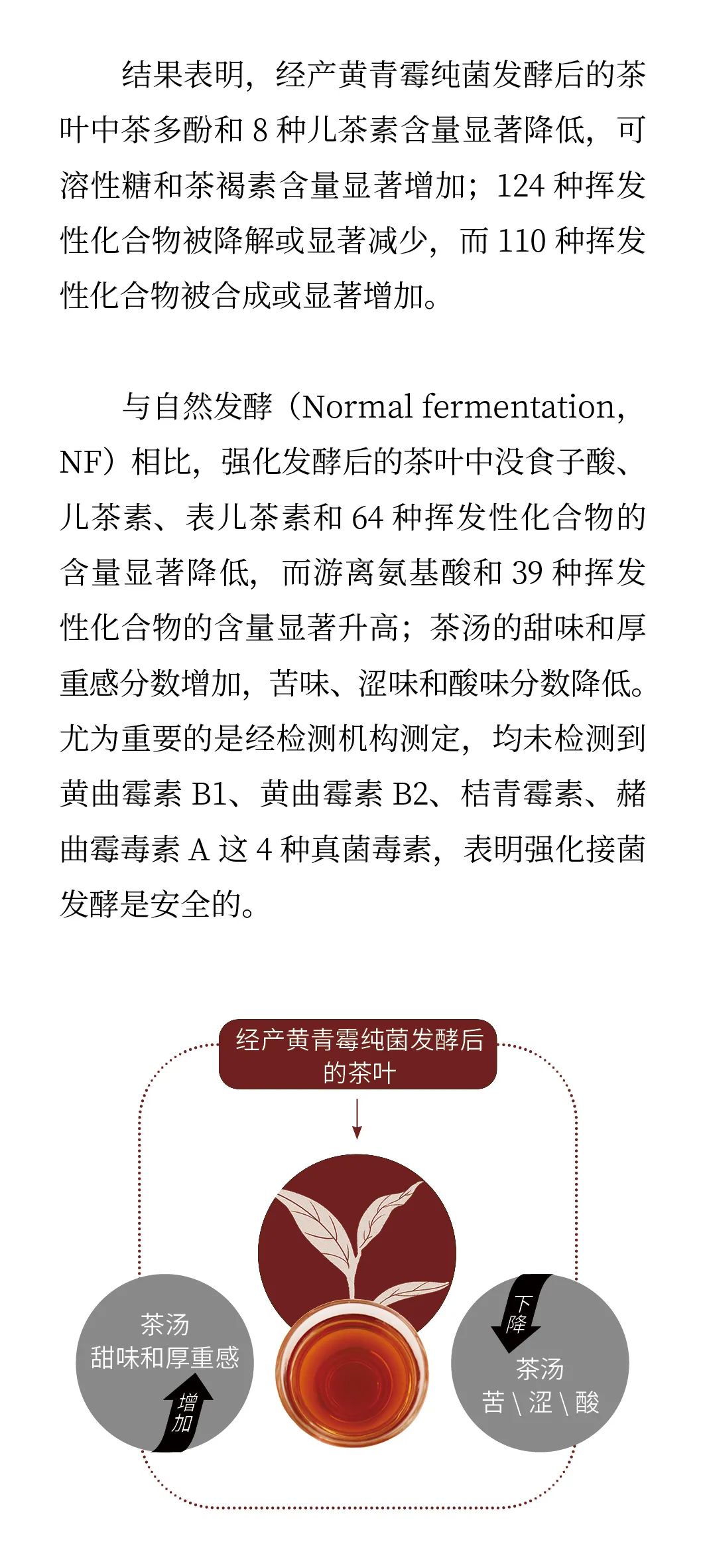 微生物助力普洱熟茶品质提升