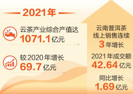 【奋进新征程 建功新时代】跃上千亿产值！云茶如何做精做强